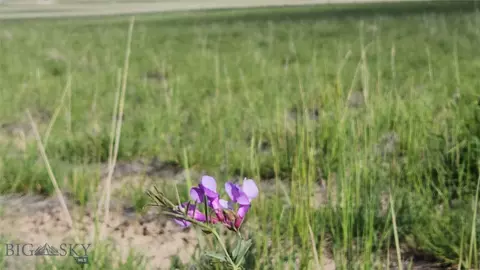 tbd Lewis Dr, Three Forks, MT 59752 photo 8