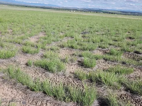tbd Lewis Dr, Three Forks, MT 59752 photo 6
