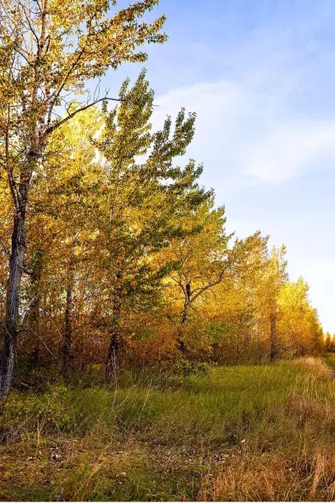 20 Prairie Grass #B, Bozeman, MT 59718 photo 52