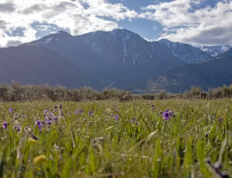 Nhn Mile Creek, Cameron, MT 59720