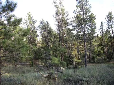 tbd Echo Ave E #LOT -23A, Roundup, MT 59072 photo 22