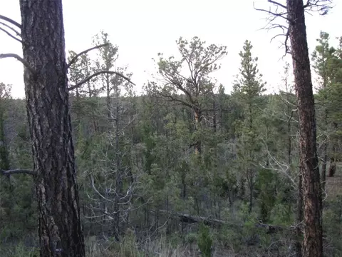 tbd Echo Ave E #LOT -23A, Roundup, MT 59072 photo 31