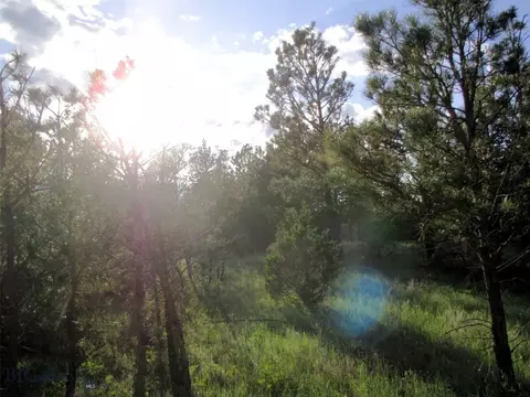 tbd Echo Ave E #LOT -23A, Roundup, MT 59072 photo 24