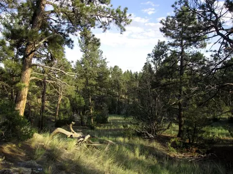 tbd Echo Ave E #LOT -23A, Roundup, MT 59072 photo 3