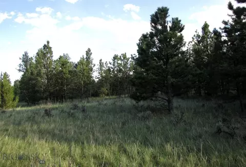 tbd Echo Ave E #LOT -23A, Roundup, MT 59072 photo 32