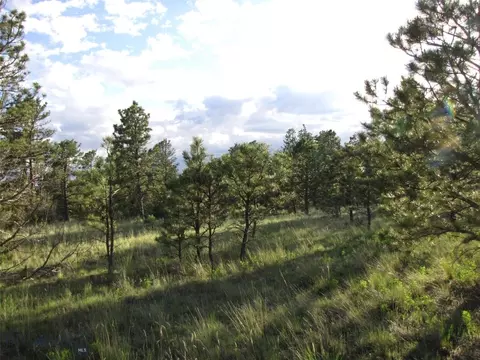tbd Echo Ave E #LOT -23A, Roundup, MT 59072 photo 41