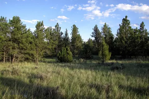 tbd Echo Ave E #LOT -23A, Roundup, MT 59072 photo 13
