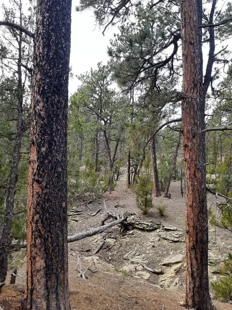 tbd Echo Ave E #LOT -23A, Roundup, MT 59072 photo 23