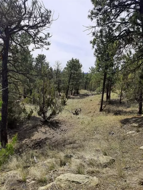 tbd Echo Ave E #LOT -23A, Roundup, MT 59072 photo 14