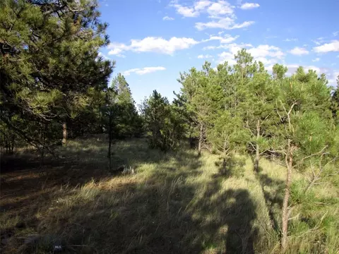 tbd Echo Ave E #LOT -23A, Roundup, MT 59072 photo 5