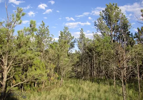 tbd Echo Ave E #LOT -23A, Roundup, MT 59072 photo 4