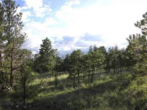 tbd Echo Ave E #LOT -23A, Roundup, MT 59072 photo 20