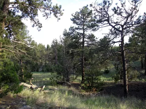 tbd Echo Ave E #LOT -23A, Roundup, MT 59072 photo 42