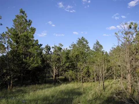 tbd Echo Ave E #LOT -23A, Roundup, MT 59072 photo 40