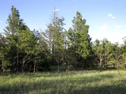 tbd Echo Ave E #LOT -23A, Roundup, MT 59072 photo 16