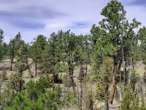 tbd Echo Ave E #LOT -23A, Roundup, MT 59072 photo 34