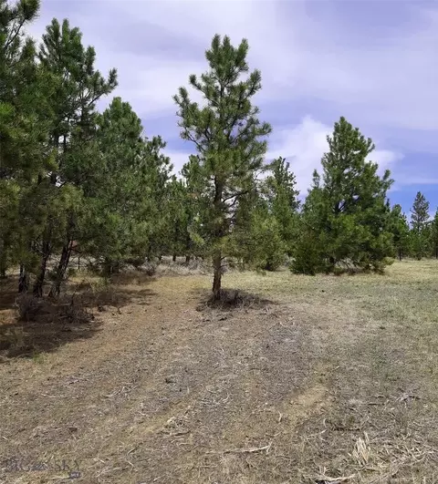 tbd Echo Ave E #LOT -23A, Roundup, MT 59072 photo 26