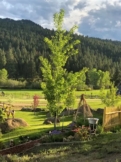 Exterior - 20 Penny Ln, Clancy, MT 59634 photo 13 of 24