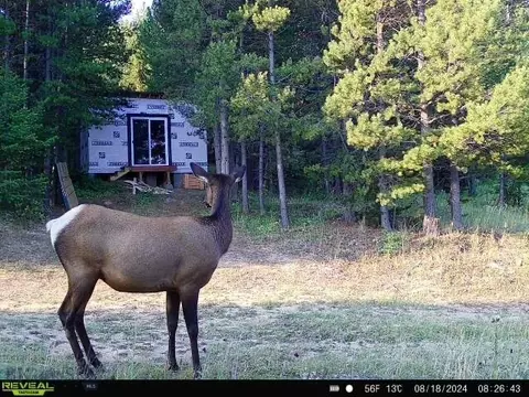 tbd Ottawa Gulch Rd, Marysville, MT 59640