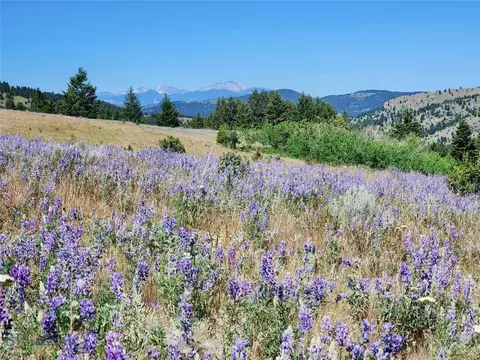 tbd Bull Run Gulch Rd, Walkerville, MT 59701