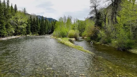 23 And 24 Moose Haven Loop, Mc Leod, MT 59052