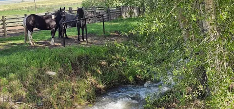 Other - 327 Granger Rd, Cameron, MT 59720 photo 16 of 33
