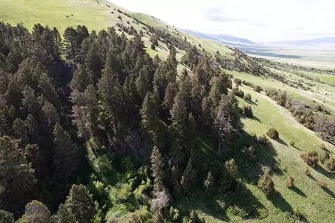 Other - 327 Granger Rd, Cameron, MT 59720 photo 10 of 33