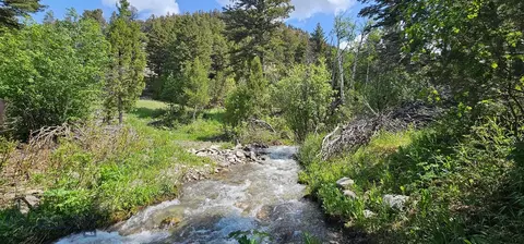 View/Area - 327 Granger Rd, Cameron, MT 59720 photo 1 of 3