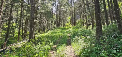 Other - 327 Granger Rd, Cameron, MT 59720 photo 21 of 33