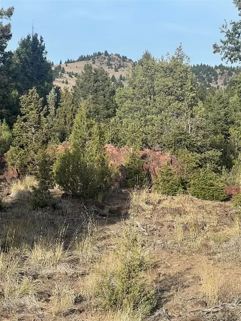 tbd Lookout Trl, Ramsay, MT 59701 photo 39