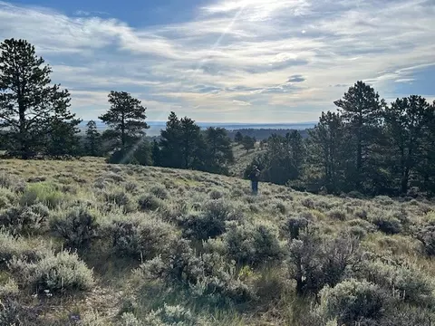 Nhn Olde English Road, Other, MT 82646