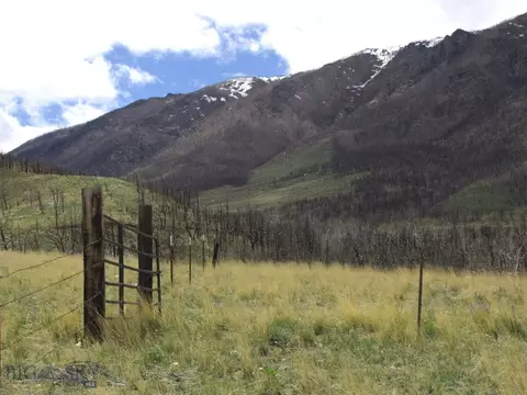 Nhn Gold Creek Road, Red Lodge, MT 59068