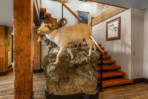 Other - 155 Peacemaker Ridge Rd, Belt, MT 59412 photo 9 of 33