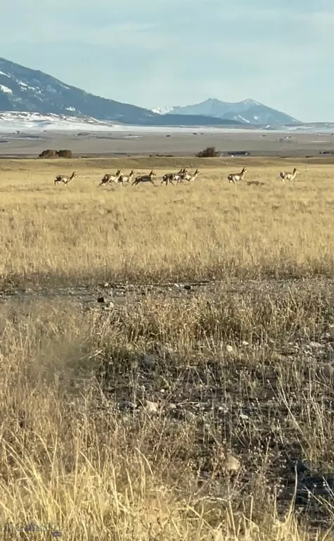 lot85 Sphinx Mtn, Cameron, MT 59720 photo 3