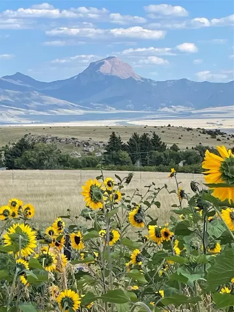 333 Shining Mountains Loop, Ennis, MT 59729 photo 2
