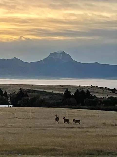 333 Shining Mountains Loop, Ennis, MT 59729 photo 3