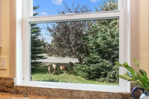 210 W Graf St, Bozeman, MT 59715 photo 16