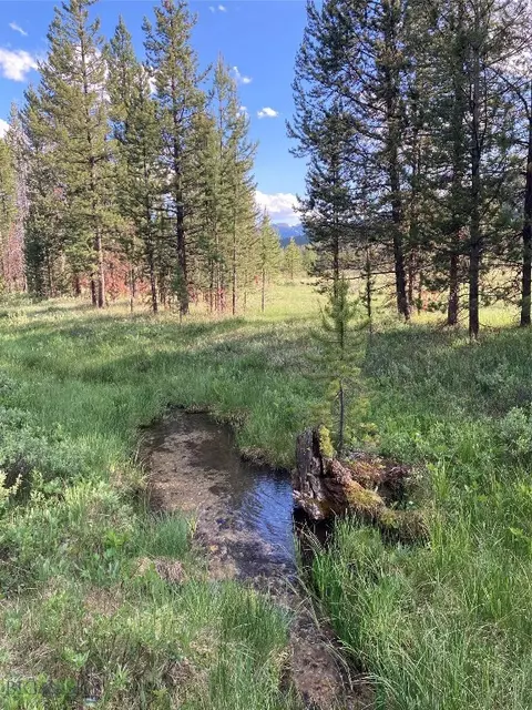 tbd Grouse Hl, Georgetown Lake, MT 59711
