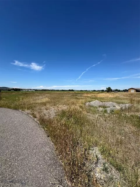 49 Ladybug Ln, Bozeman, MT 59718 photo 3