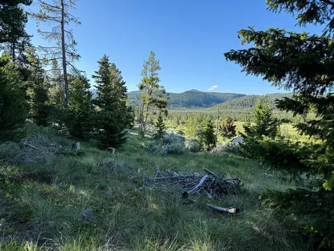 Nhn Sunchild Lane, Anaconda, MT 59711