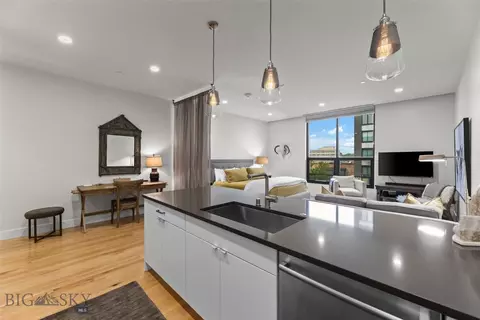 5 W Mendenhall #415, Bozeman, MT 59715