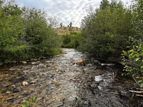 Nhn Lot 43 Mill Creek Highway, Anaconda, MT 59711