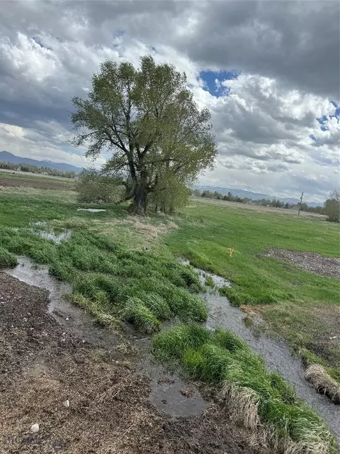 26 Tailwater Dr, Bozeman, MT 59718 photo 17