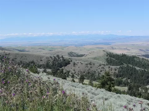 lot358 Pole Gulch, Three Forks, MT 59752