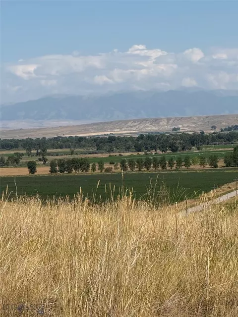 tbd Targe, Three Forks, MT 59752 photo 26