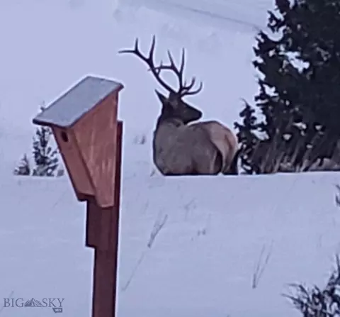 Other - 31 Rogers Ln, Boulder, MT 59632 photo 35 of 57