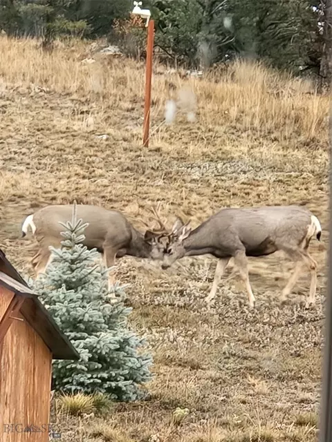 Other - 31 Rogers Ln, Boulder, MT 59632 photo 50 of 57