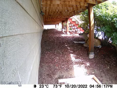 Exterior - 31 Rogers Ln, Boulder, MT 59632 photo 17 of 18