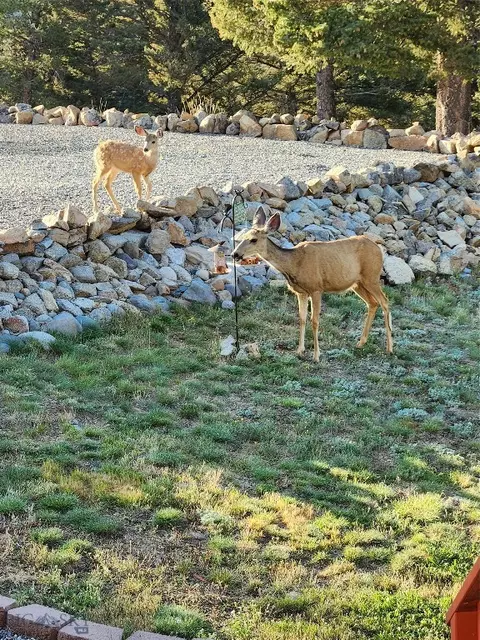Other - 31 Rogers Ln, Boulder, MT 59632 photo 52 of 57