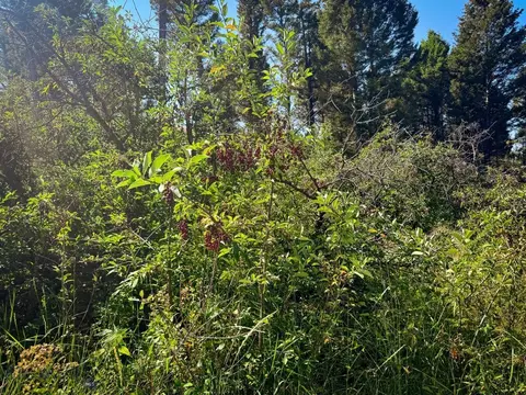 Other - 31 Rogers Ln, Boulder, MT 59632 photo 28 of 57